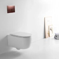 Berges Wasserhaus Tornas Rimless + Visam Slim 525 EX-043412 (с кнопкой, с сиденьем) Image #8