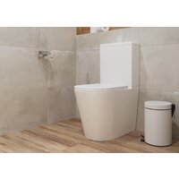 Lauter W76 P-TRAP 21122762 + гигиенический душ Glow 21LT0224GL (горизонтальный выпуск) Image #9