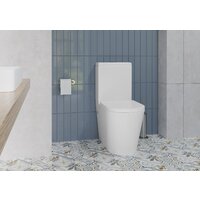 Lauter W76 P-TRAP 21122761 + гигиенический душ Mist 21TZ222MB (горизонтальный выпуск) Image #14