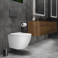 Roxen Antares Tornado в комплекте с инсталляцией Asten Readle Zentralmodul с белой кнопкой Image #8