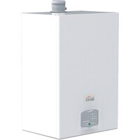 Ferroli Force W 120 (с забором воздуха с улицы) Image #1