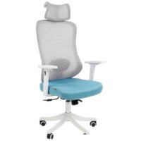 CHAIRMAN CH563 (ткань/сетка, белый/бирюзовый)