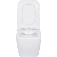 Roxen Cube в комплекте с инсталляцией StounFix Dual Fresh 6 в 1 534002 (кнопка: белый глянец) Image #7