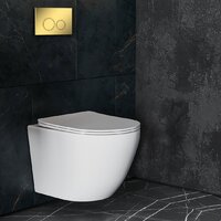 Roxen Antares в комплекте с инсталляцией StounFix Dual Fresh 6 в 1 968010 (кнопка: золото глянцевое ) Image #9