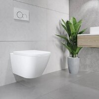 Lauter Nuremberg 21811 + 21901002 (белый, с кнопкой смыва 219704J черный) Image #15