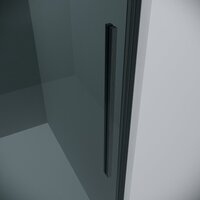 Grossman Galaxy 100x90x195 120.K33.01.1090.42.10 (графит сатин/стекло тонированное) Image #2