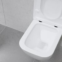 Lauter Nuremberg 21811 + 21901002 (белый, с кнопкой смыва 219701J хром) Image #28