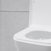 Lauter Nuremberg 21811 + 21901002 (белый, с кнопкой смыва 219701J хром) Image #29