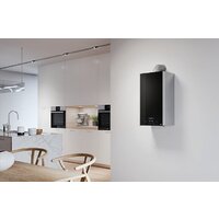 Ariston Alteas XC 24 FF 3301670 Image #5