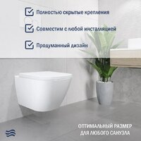 Lauter Nuremberg 21811 + 21901001 (белый, с кнопкой смыва 219701J хром) Image #4