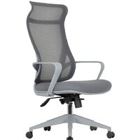 CHAIRMAN CH577 (серый пластик/серый)