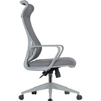 CHAIRMAN CH577 (серый пластик/серый) Image #2