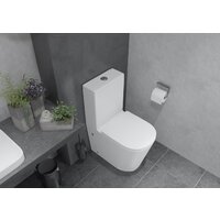 Lauter W76 P-TRAP 21122762 + гигиенический душ Mild 21LT072BM (горизонтальный выпуск) Image #16