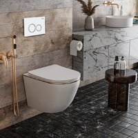 Roxen Antares Gold в комплекте с инсталляцией StounFix Dual Fresh 6 в 1 728092 (кнопка: белый глянец) Image #9