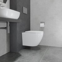 Lauter Vortex 2110830VP + Breez 21GN7072BM Image #19