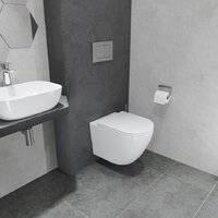 Lauter Vortex 2110830VP + Breez 21GN7072BM Image #21