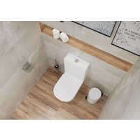 Lauter W76 P-TRAP 21122761 + гигиенический душ Neo 21LT0474GL (горизонтальный выпуск) Image #10