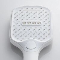 Shevanik S4036C Image #2