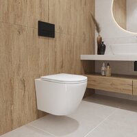 Lauter Vortex 2110830VP + Breez 21GN7071CH Image #22