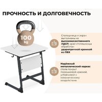 Sheffilton SHT-T-TN14/5-7 (антрацит/береза) Image #3