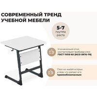 Sheffilton SHT-T-TN14/5-7 (антрацит/береза) Image #2