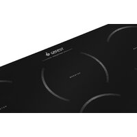 GEFEST 4323 Image #3