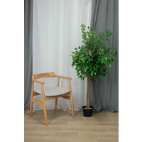 Sheffilton SHT-S204 (светлый бежевый/прозрачный лак) Image #6