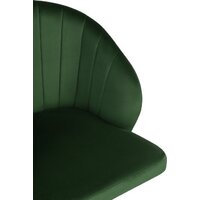 Woodville Пард (изумрудный) Image #9