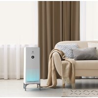 Electrolux EAP-2050D Yin&Yang Image #8