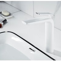 Rose R3911F Image #5