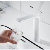 Rose R3911F Image #8