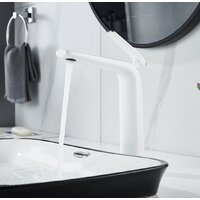 Rose R3911F Image #3