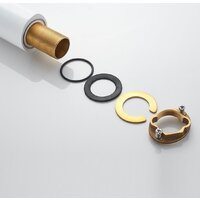 Rose R3911F Image #21