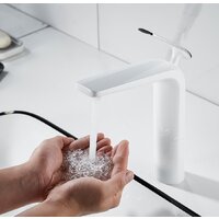 Rose R3911F Image #9