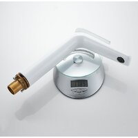 Rose R3911F Image #20