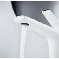 Rose R3911F Image #4