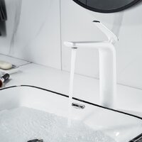 Rose R3911F Image #10