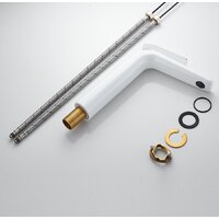 Rose R3911F Image #12