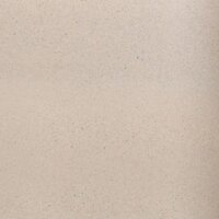 Wisent 650-30W (с сифоном GER013) Image #5