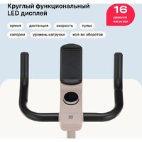 Svensson Body Labs Aurora Image #3