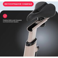 Svensson Body Labs Aurora Image #9