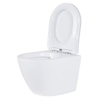 Roxen Antares Tornado в комплекте с инсталляцией StounFix Dual Fresh 6 в 1 968335 (кнопка: белый глянцевый) Image #6
