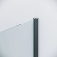 Niagara Nova NG-34-12AGR-A100GR-34 120х100х195 (графит/прозрачное стекло) Image #6