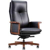 Norden Vivaldi Black A 2262 black (кожа/черный) Image #1