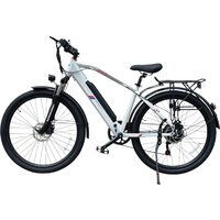 Smart Balance City (серый, разобранный)