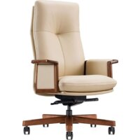 Norden Vivaldi A 2262 Ivory (кожа бежевый) Image #1