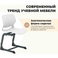 Sheffilton SHT-S-TN26/5-7 (белый/антрацит) Image #2