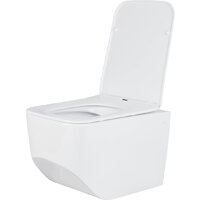 Roxen Boro в комплекте с инсталляцией StounFix Dual Fresh 6 в 1 868473 (кнопка: золото глянцевая) Image #9