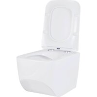 Roxen Boro в комплекте с инсталляцией StounFix Dual Fresh 6 в 1 868473 (кнопка: золото глянцевая) Image #10