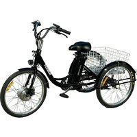 Smart Balance Fermer 2024 (черный, разобранный)